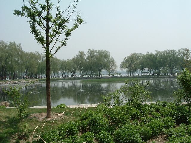 頤和園の写真の写真