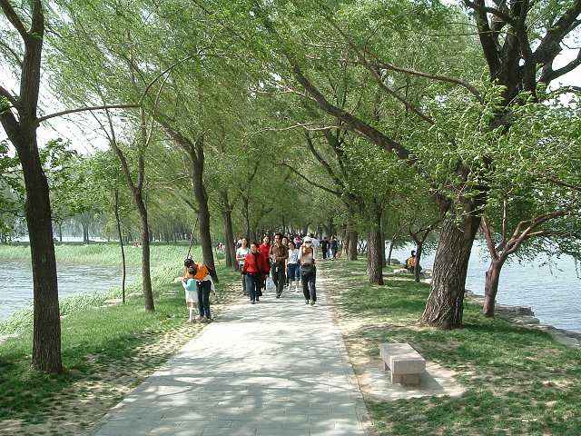 頤和園の写真の写真