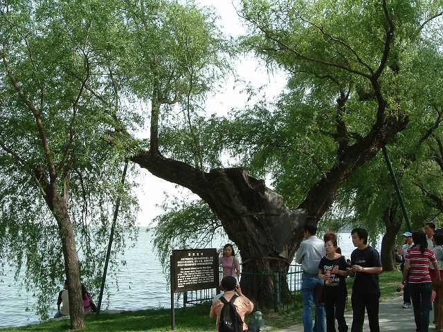 頤和園の写真の写真