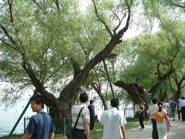 頤和園の写真の写真