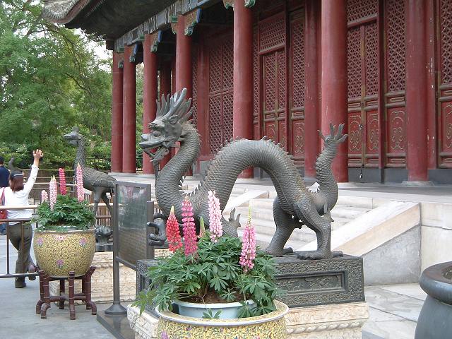 頤和園の写真の写真