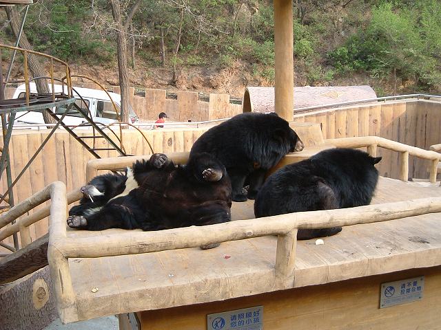 万里の長城(八達嶺)の写真の写真