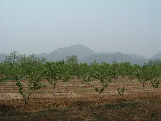 定陵付近の景色の写真の写真