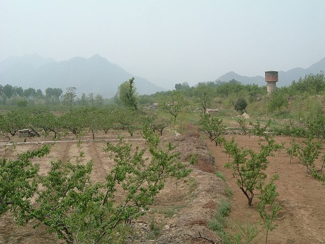 定陵付近の景色の写真の写真