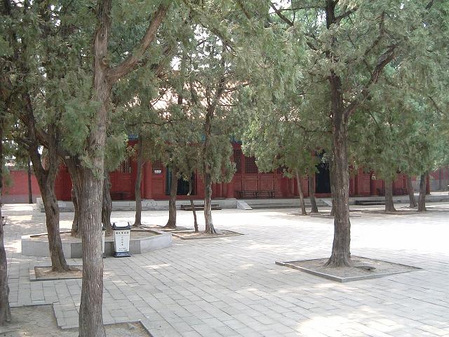 明十三陵・昭陵の写真の写真