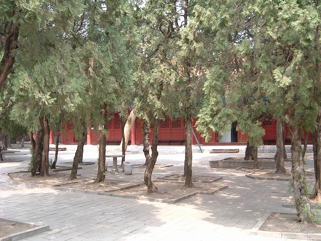 明十三陵・昭陵の写真の写真