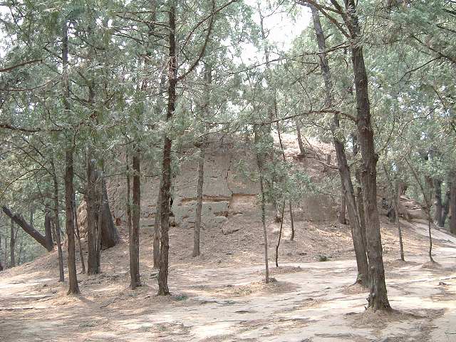 明十三陵・昭陵の写真の写真