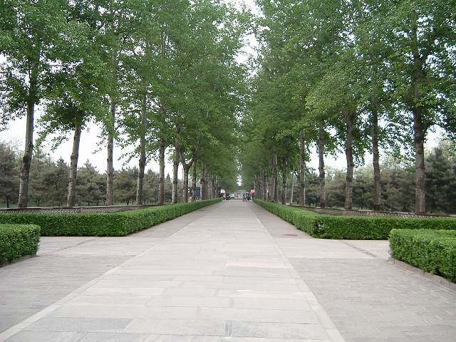 明十三陵・神道の写真の写真