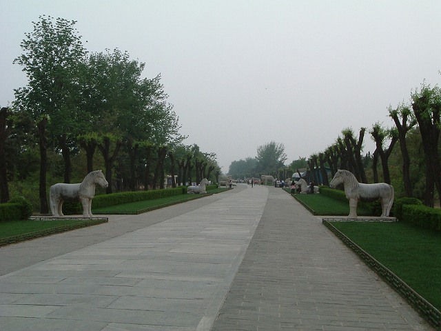 明十三陵・神道の写真の写真