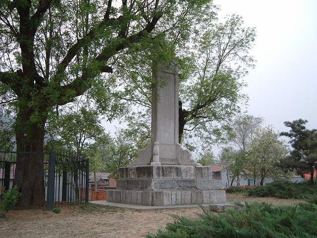明十三陵・神道の写真の写真