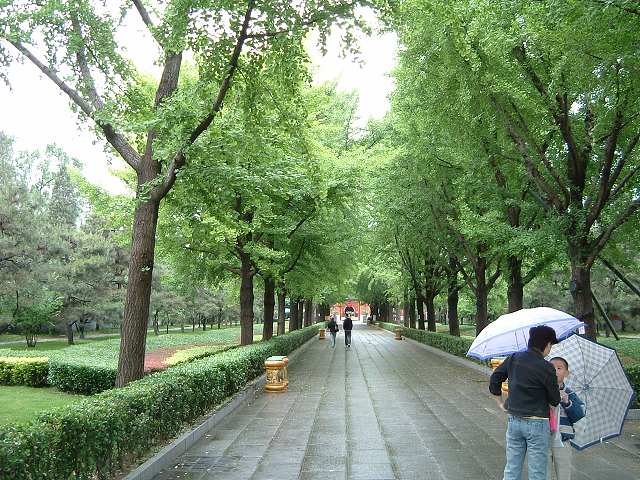 北京・雍和宮の写真の写真