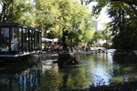 アヴィニョン・ロシェ・デ・ドン公園の池