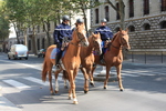 パリ・セレスティン(Célestins)の騎兵
