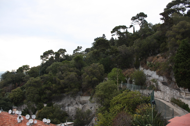 ニース城は木が生い茂るの写真の写真