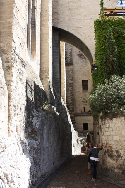 アヴィニョン・ペロルリー通りの写真の写真