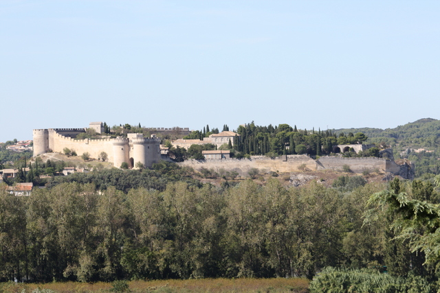 ローヌ側の対岸に見えるヴィルヌーヴ・レザヴィニョンのサン・タンドレ要塞の写真の写真