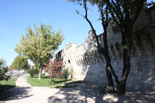 unknownの写真の写真