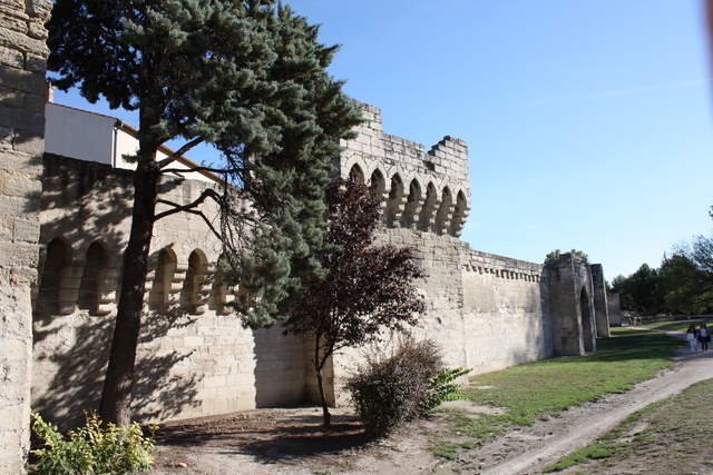 unknownの写真の写真