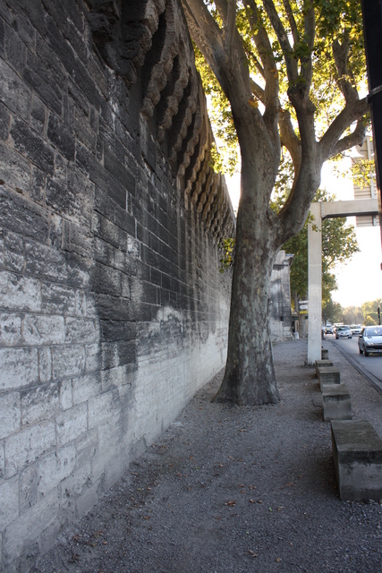 unknownの写真の写真