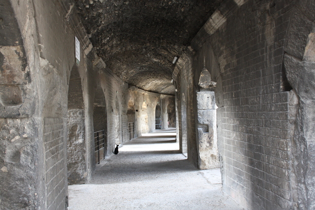 unknownの写真の写真