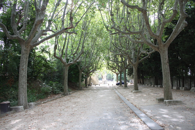 unknownの写真の写真