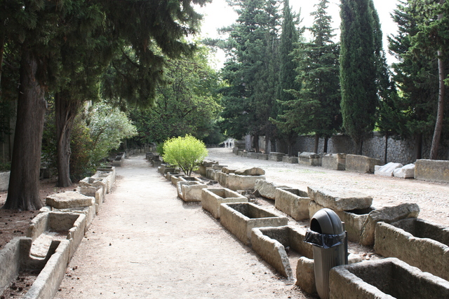 unknownの写真の写真