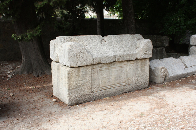 unknownの写真の写真