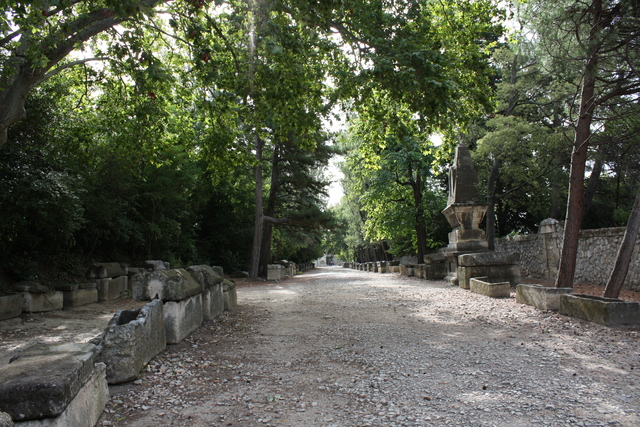 unknownの写真の写真