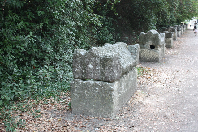 unknownの写真の写真