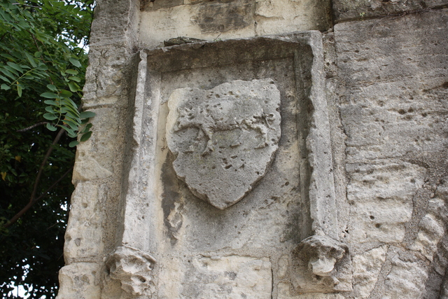 unknownの写真の写真