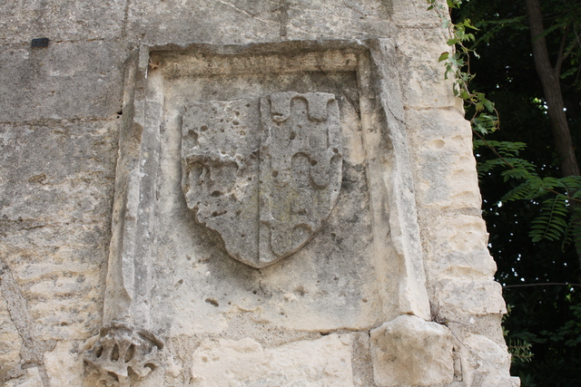 unknownの写真の写真