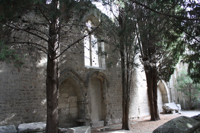 unknownの写真の写真