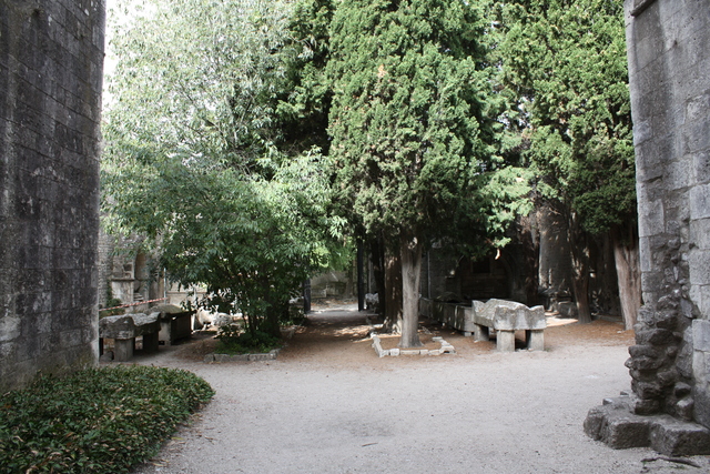 unknownの写真の写真