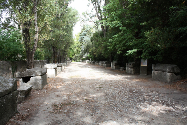 unknownの写真の写真