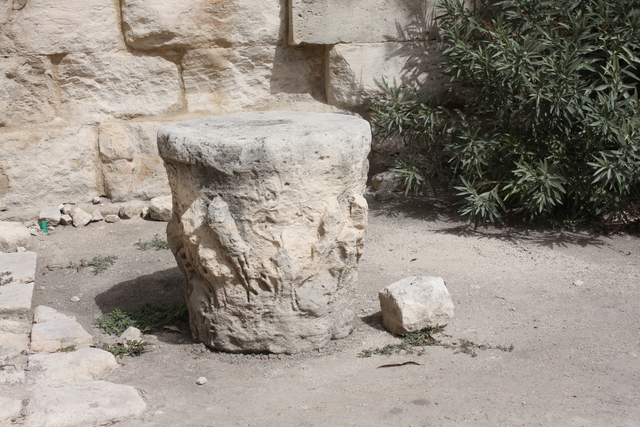 unknownの写真の写真