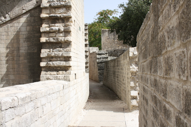 unknownの写真の写真