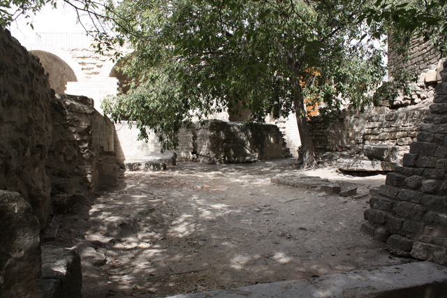 unknownの写真の写真