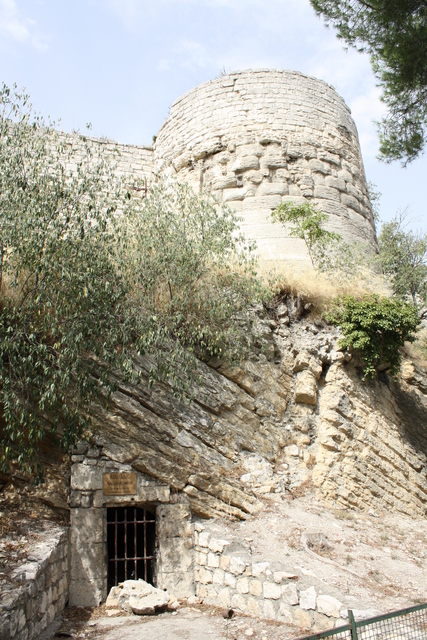 unknownの写真の写真