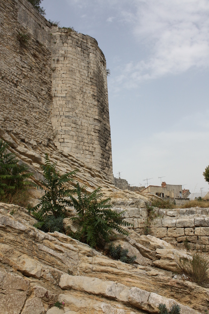 unknownの写真の写真