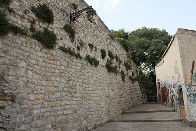 unknownの写真の写真