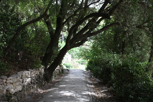 ニーム・ガヴァリエの丘の写真の写真