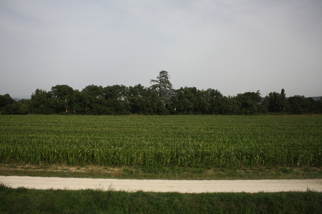 ニーム～ リヨン・農地の写真の写真