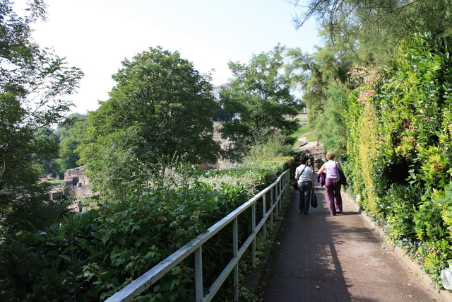 unknownの写真の写真