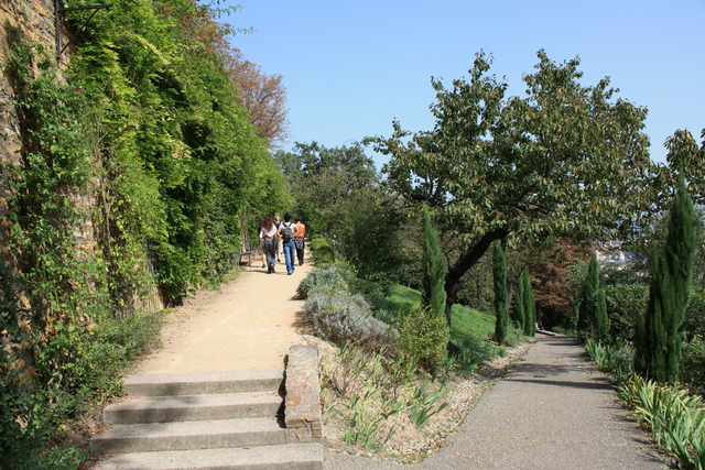 unknownの写真の写真