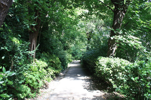 unknownの写真の写真