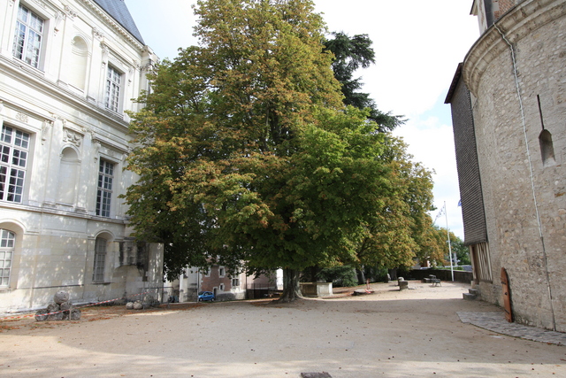 ブロワ城の写真の写真