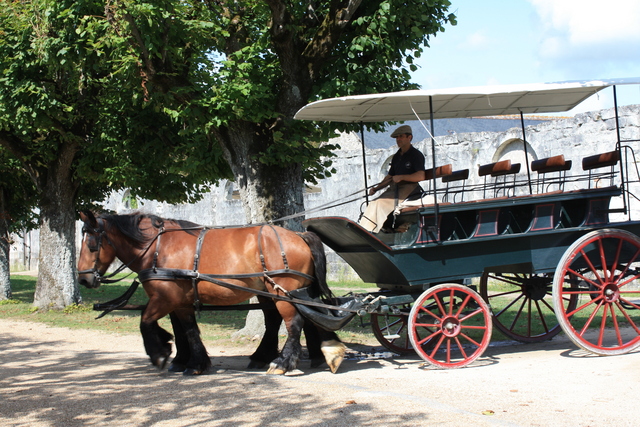 unknownの写真の写真