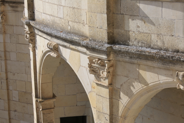 unknownの写真の写真