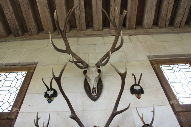 unknownの写真の写真