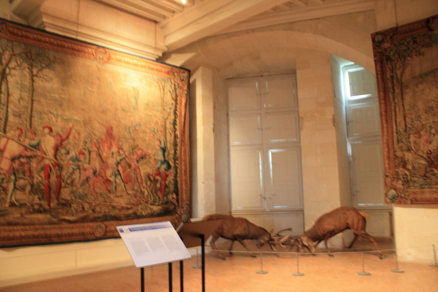 unknownの写真の写真